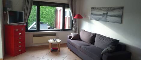 TV, fireplace, DVD player, books