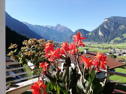 Apartment with garden in sunny and central dream location and own heat cabin