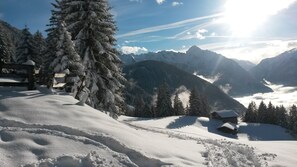 Sneeuw- en skisporten