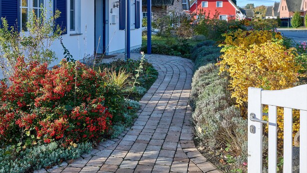 A pathway leading to a house with a blue exterior and a white door. - generous thatched cottage (160 m²) on the Baltic Sea, sauna, stove, forest edge location (Rerik)