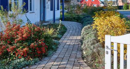 generous thatched cottage (160 m²) on the Baltic Sea, sauna, stove, forest edge location