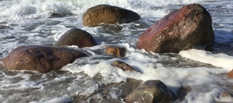 generous thatched cottage (160 m²) on the Baltic Sea, sauna, stove, forest edge location