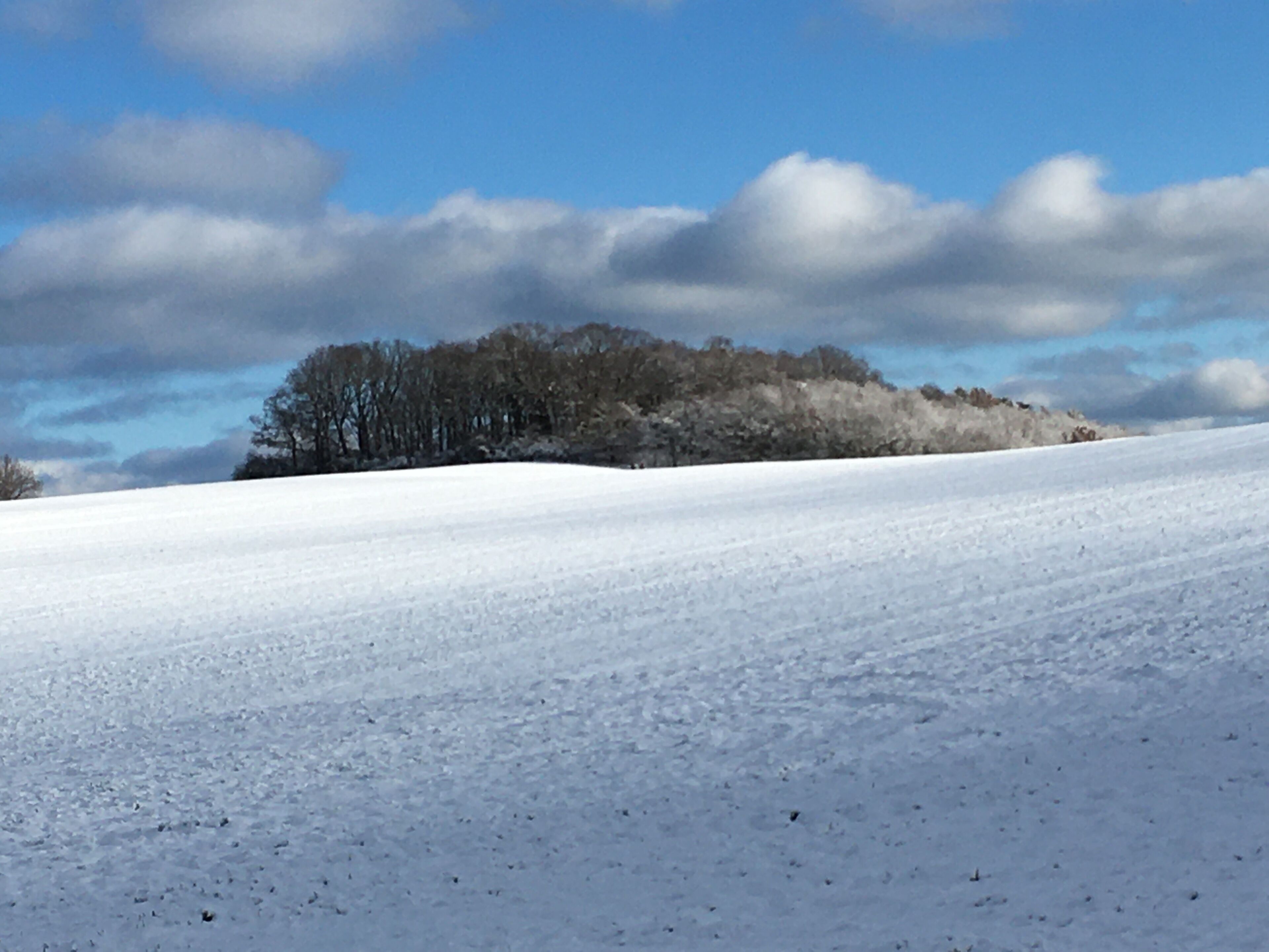 Een sneeuwbedekte weide met een bos op de achtergrond, onder een gedeeltelijk bewolkte lucht.