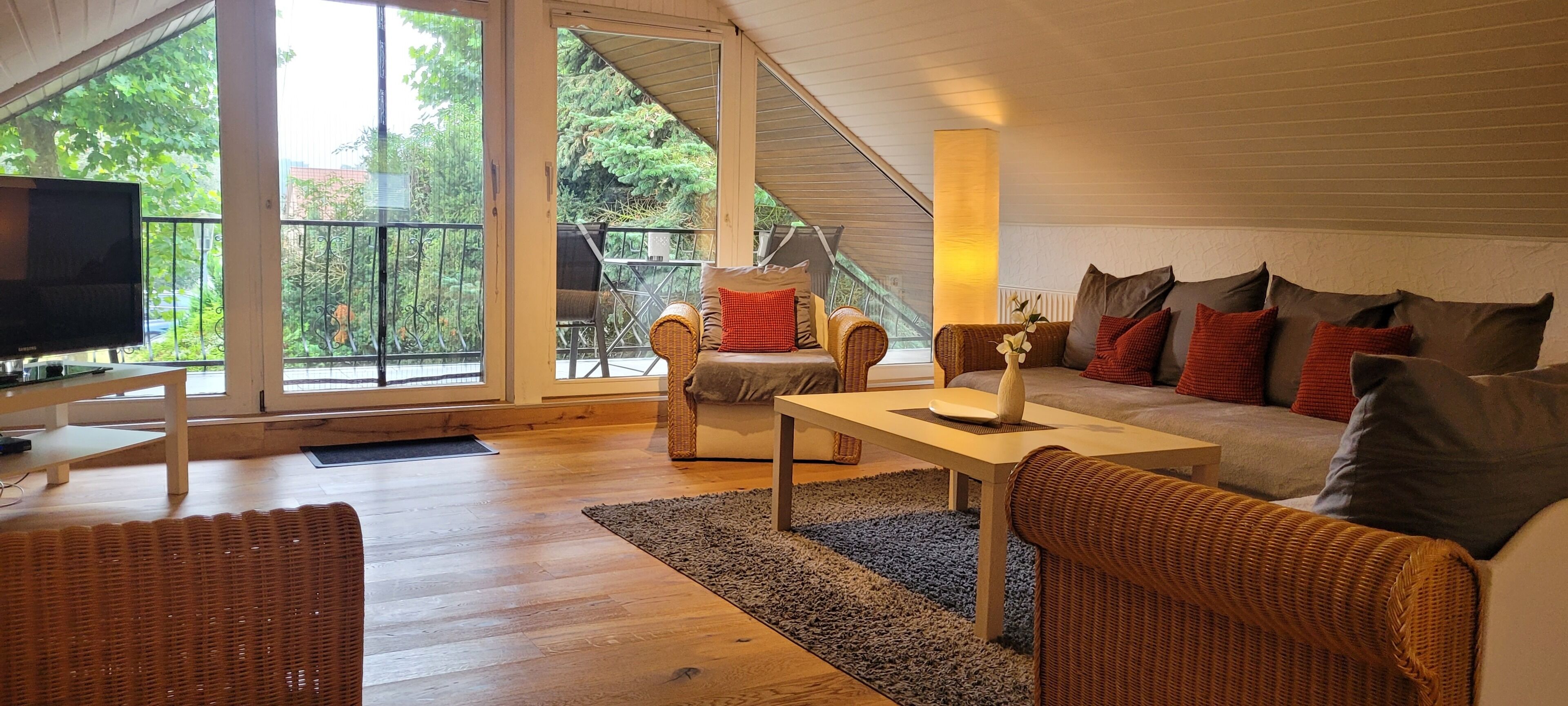 Fernseher, DVD-Player, Bücher