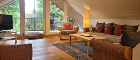 TV, DVD player, books