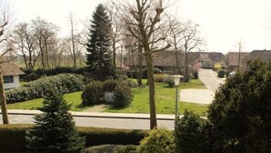 Een woonwijk met een verzorgd gazon, een weg en huizen op de achtergrond.