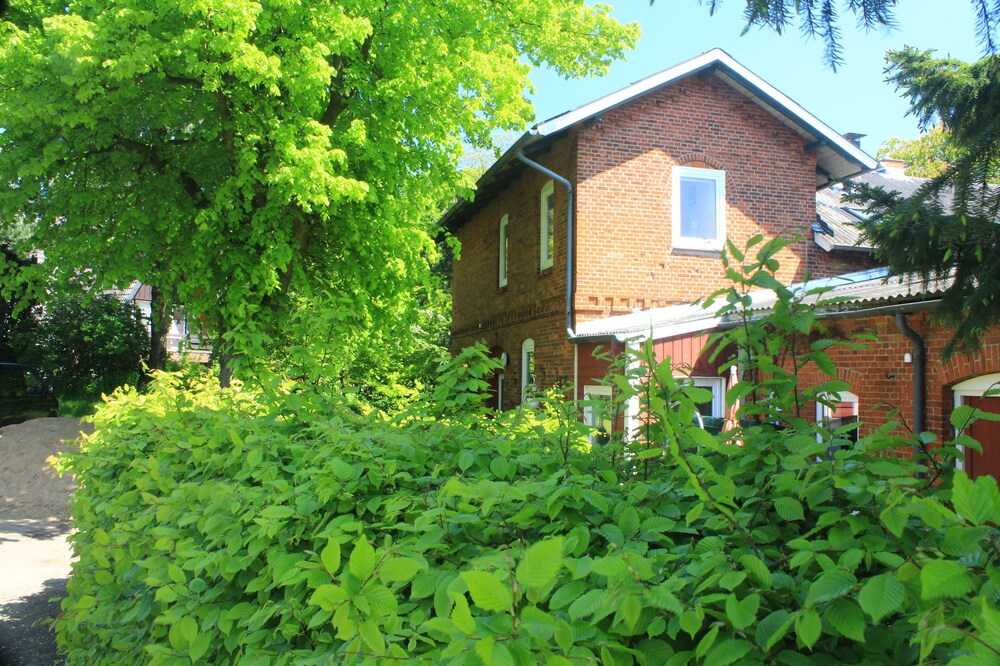 Charmante familien- und tierfreundliche FeWo in ländlicher Idylle - Erholung PUR