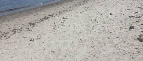 Una playa arenosa con un muelle que se adentra en el agua.