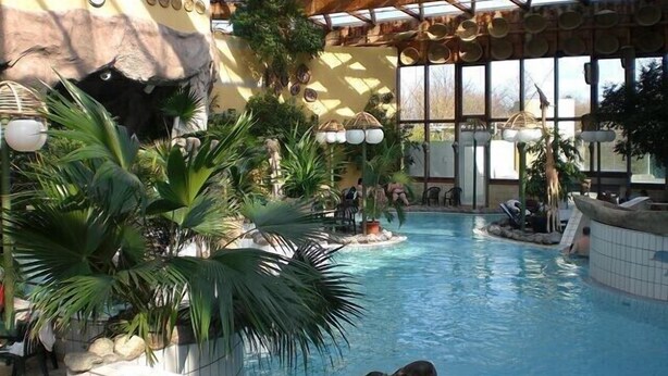 Una piscina interior con temática tropical, que incluye palmeras y una cascada.