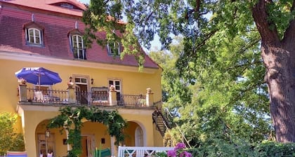 Asu linnassa järven rannalla! Antelias ja tyylikkäästi suunniteltu. Neljän pylvässängyn ja takan kanssa