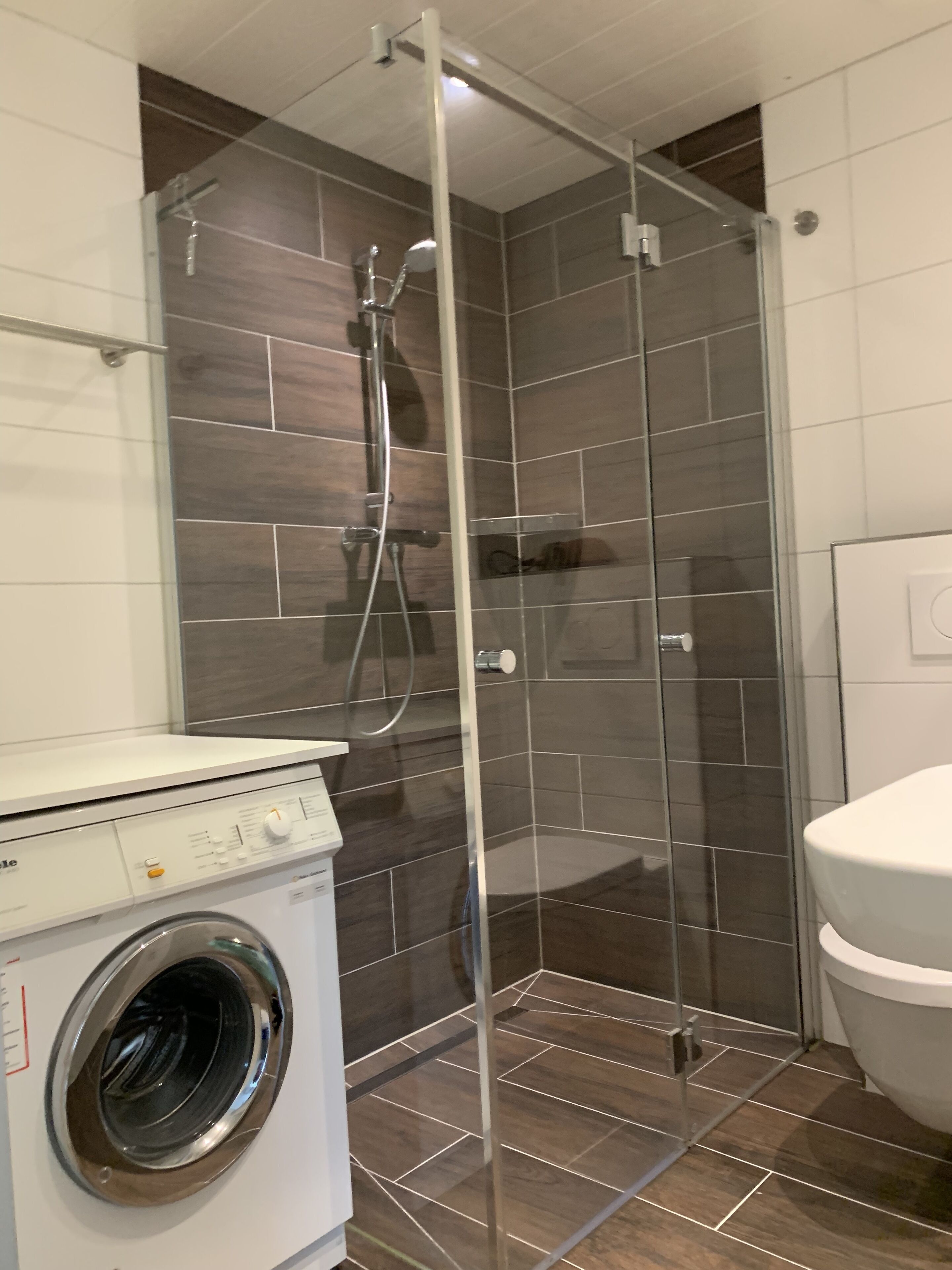 Shower, hair dryer