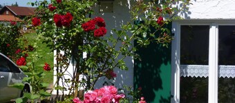 Feel close to the Allgäu mountains, Forggensee, 3 BR, smoke-free, wireless