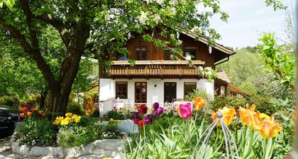 Comfortable apartment in the outskirts