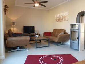 Una Smart TV, una chimenea, libros, una videoteca