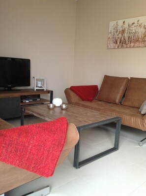 Una Smart TV, una chimenea, libros, una videoteca