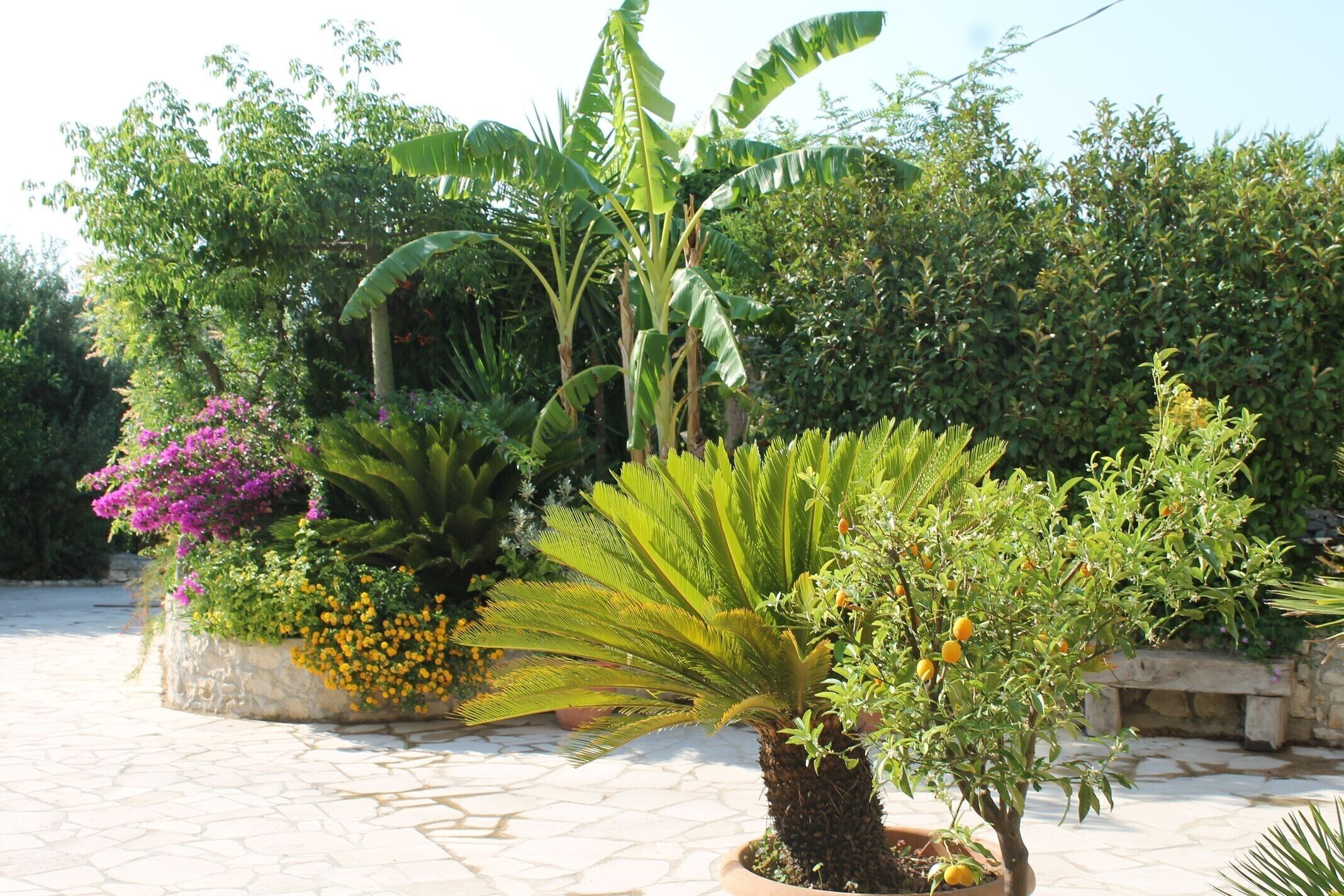 Enceinte de l’hébergement