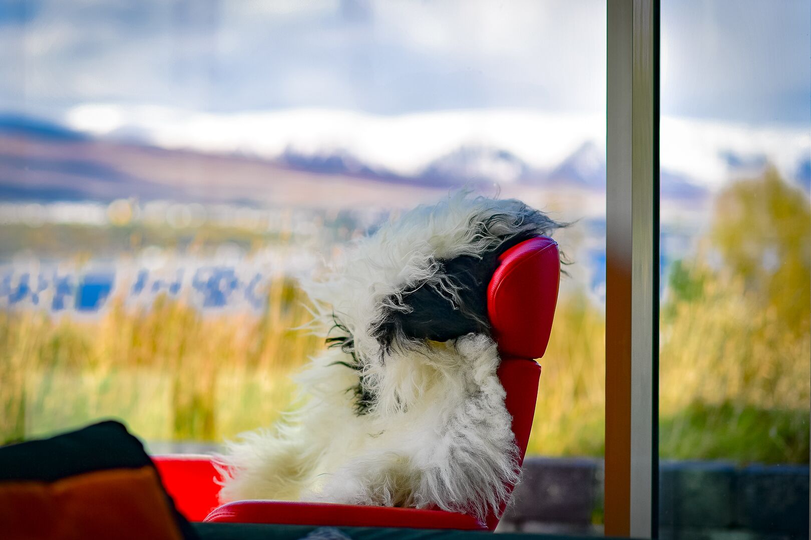 Een hond zit op een rode stoel bij een raam met uitzicht op een bergachtig landschap.