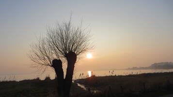 Paesaggio con una strada, un corso d'acqua e un albero in controluce al tramonto.