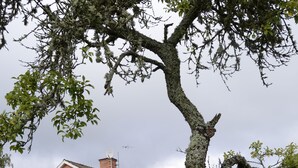 Barneområde