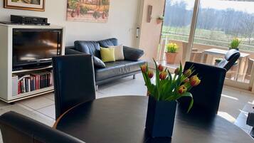 Smart-TV, Bücher, Videothek, Stereoanlage