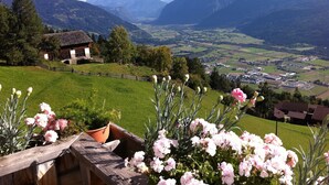 Un paysage de montagne avec une vallée, une maison en bois et un parterre de fleurs.