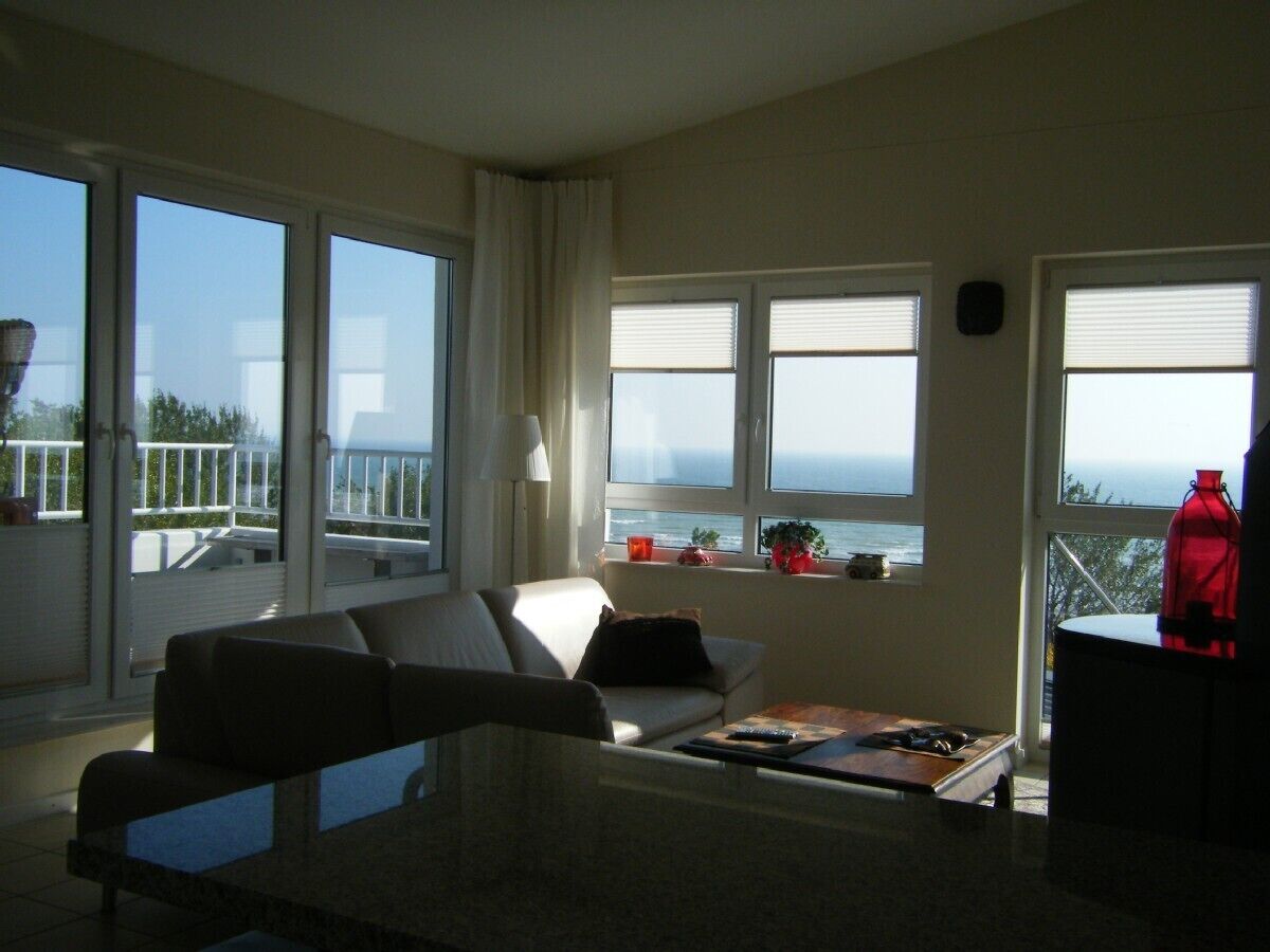 TV connectée, cheminée, lecteur de DVD, livres