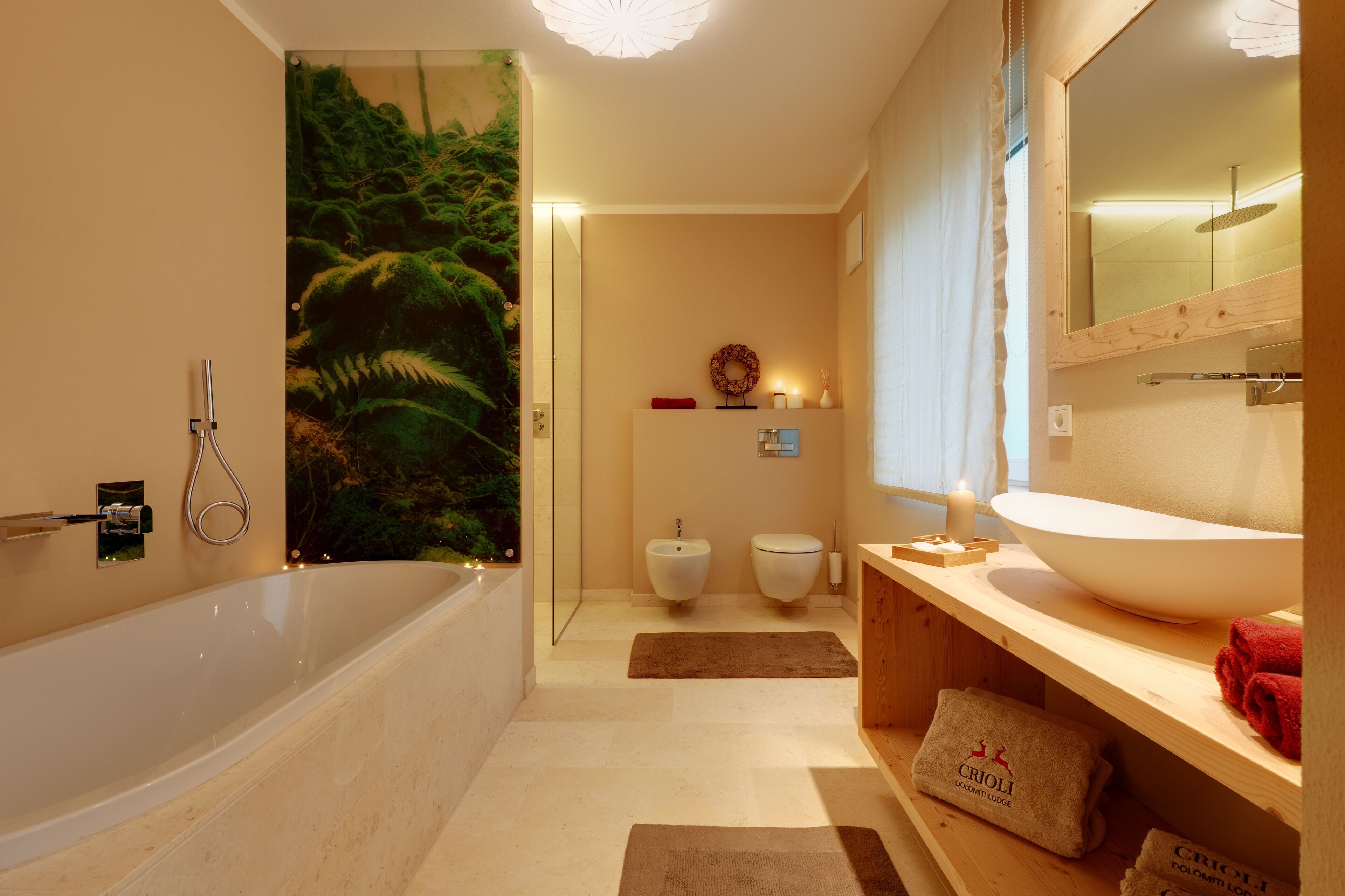 Combined shower/tub, hair dryer, bidet, towels