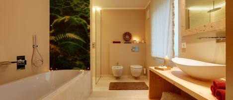 Combined shower/tub, hair dryer, bidet, towels