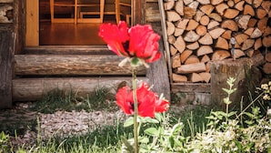 A wooden cabin entrance with a television, books, and a chair inside. - Family-friendly holiday home in the most beautiful hiking area!  (Arnbruck)
