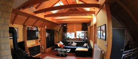 TV, DVD player, books, music library