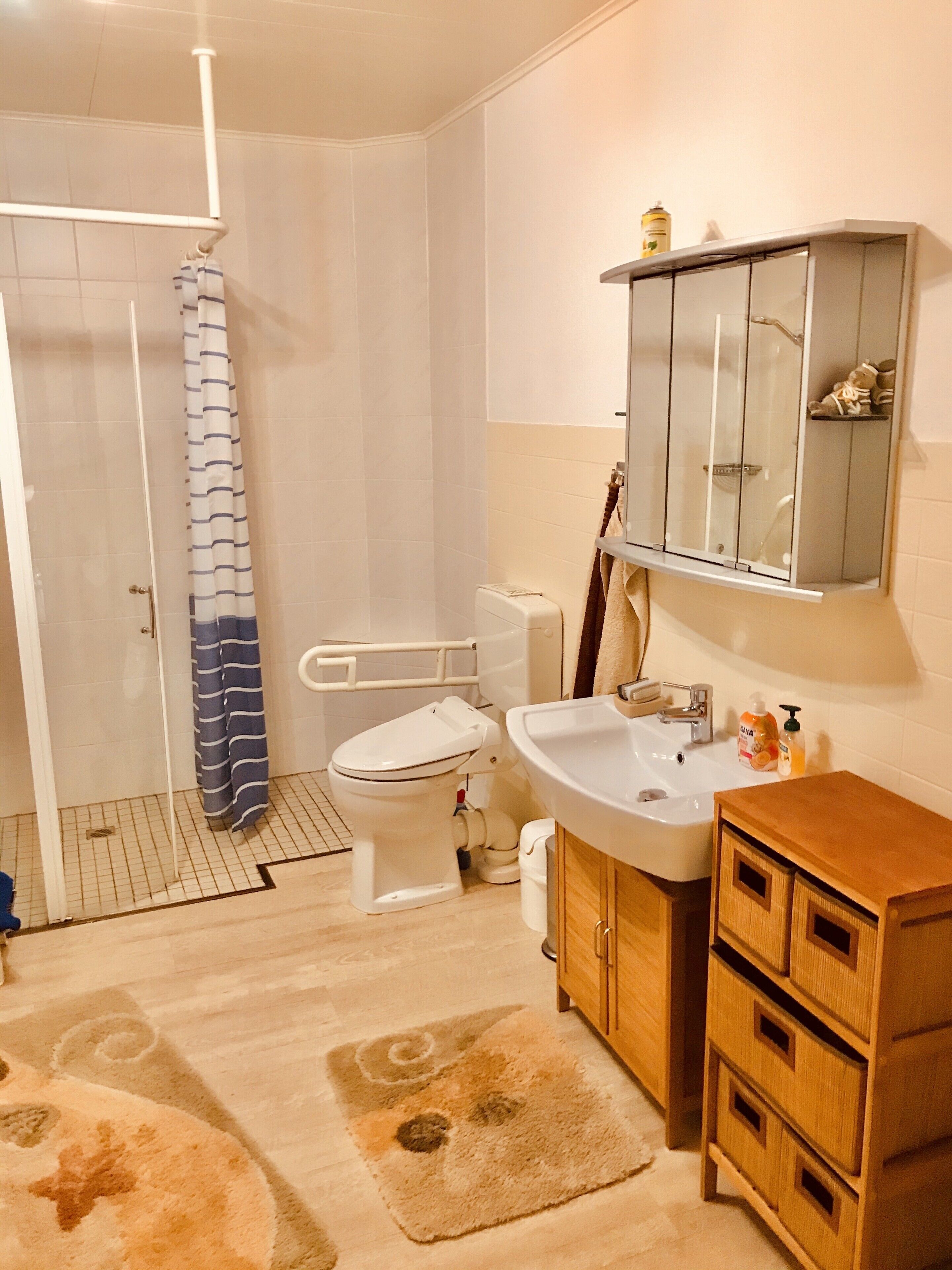 Un baño con inodoro, lavamanos y ducha.
