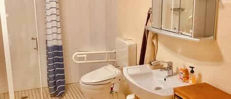 Un baño con inodoro, lavamanos y ducha.