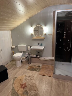 Douche, séchoir à cheveux, serviettes fournies, savon