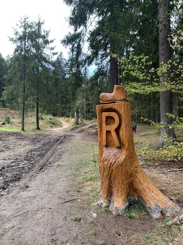 Een houten paal met een in mekaar gebeiteld 'R', markeert een parkeerplaats in een bosrijk gebied.