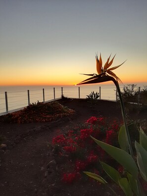 Property grounds - Casa Tabladito with heated pool and fantastic sea views. (Tijarafe)