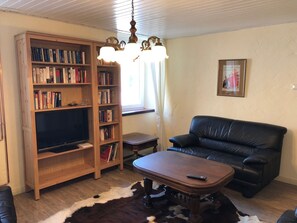 Una televisión, libros, una biblioteca de música