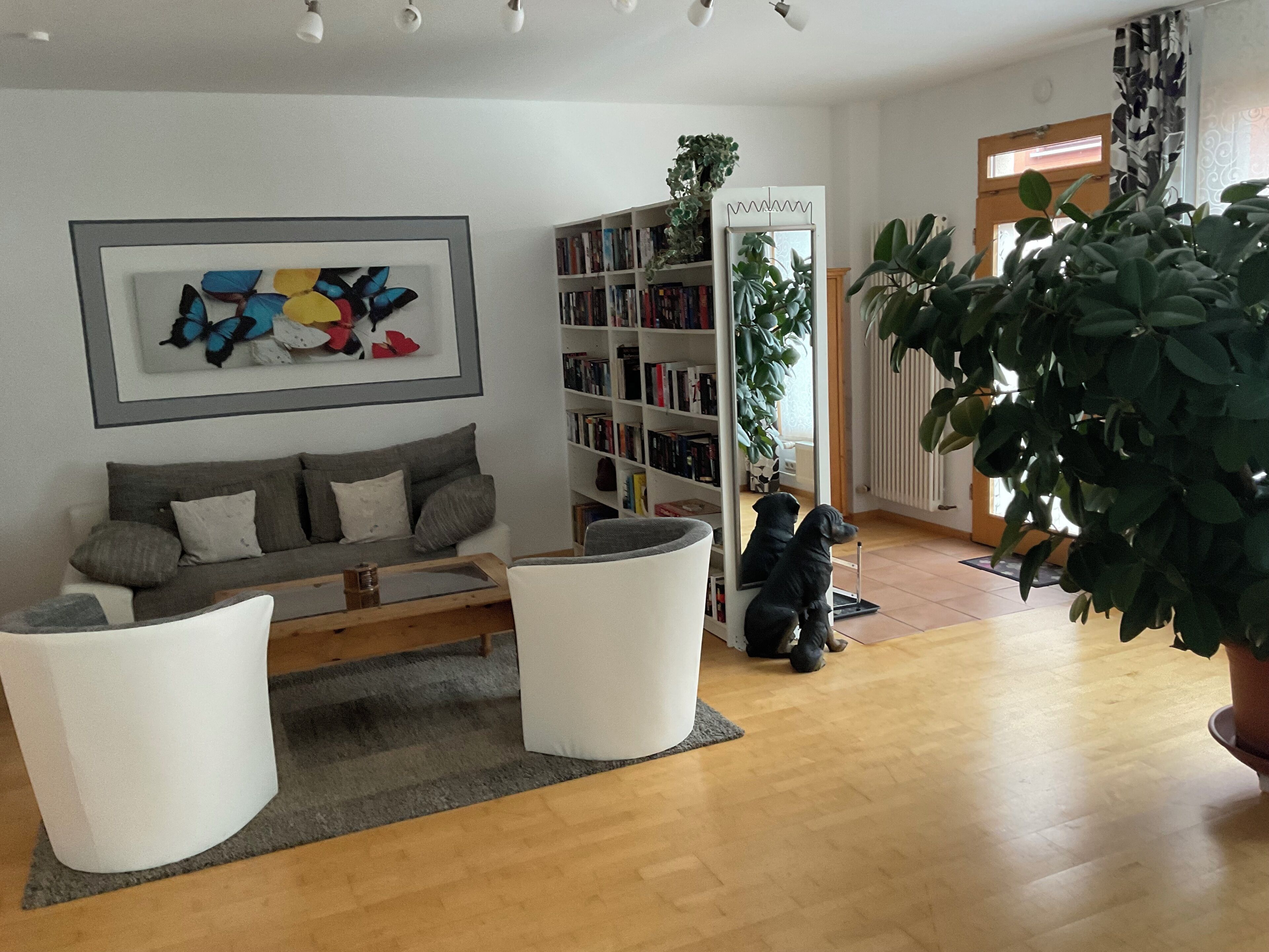 Télévision, lecteur de DVD, jouets, livres