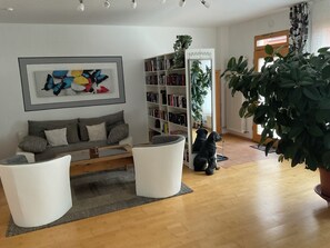 Télévision, lecteur de DVD, jouets, livres