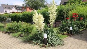 Un jardin agrémenté de diverses plantes et fleurs, notamment des variétés à fleurs blanches et rouges, ainsi qu'un chemin pavé.