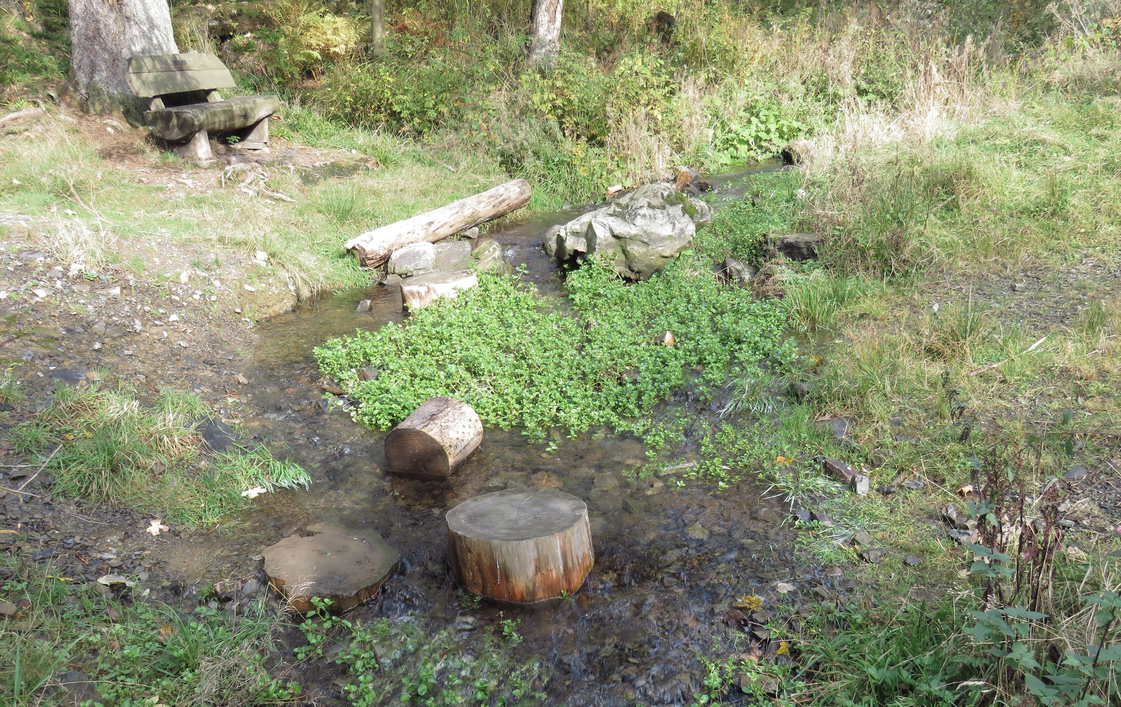A natural outdoor setting with a small stream, rocks, and greenery.