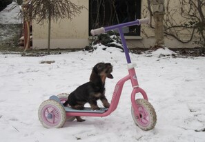 Àrea exterior de l'allotjament