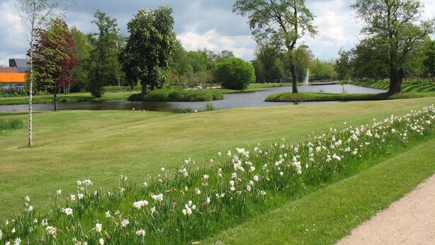 Un parque bien cuidado con un estanque, abundante vegetación y una fila de flores blancas.