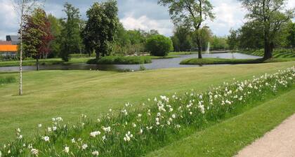 Esteetön uusittu huoneisto ****