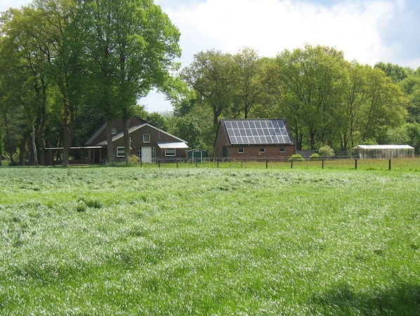Ländliche Szenerie mit einem Haus, das eine Solaranlage, ein Gewächshaus und ein eingezäuntes Feld zeigt.