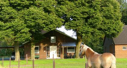 Barrierefreie  **** Ferienwohnung im Grünen