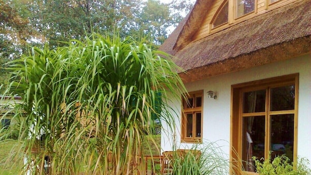 Une maison de campagne au toit de chaume, dotée de grandes fenêtres et d’un jardin où poussent de hautes plantes.