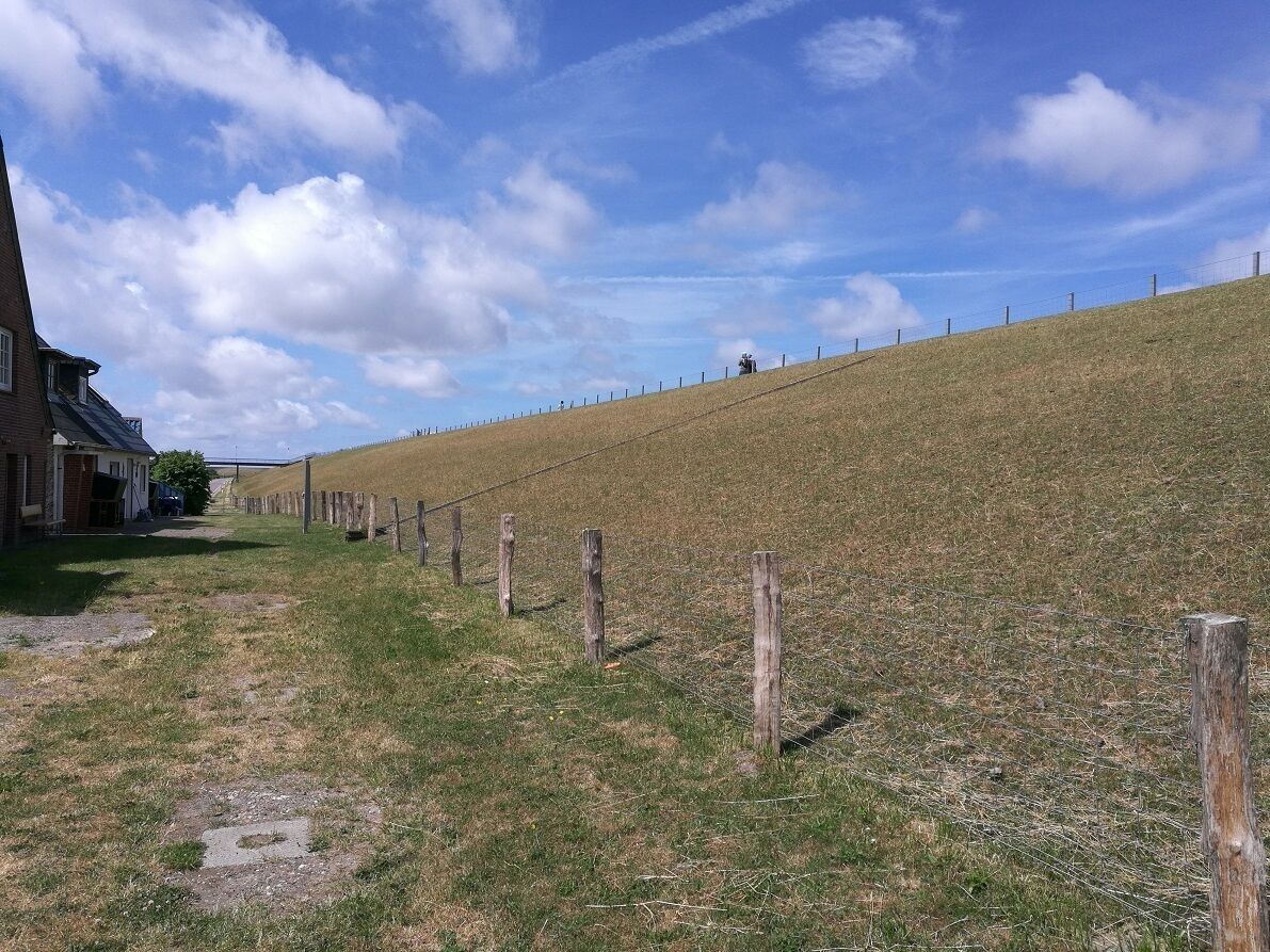 A grassy field with a fence and a building in the background.
