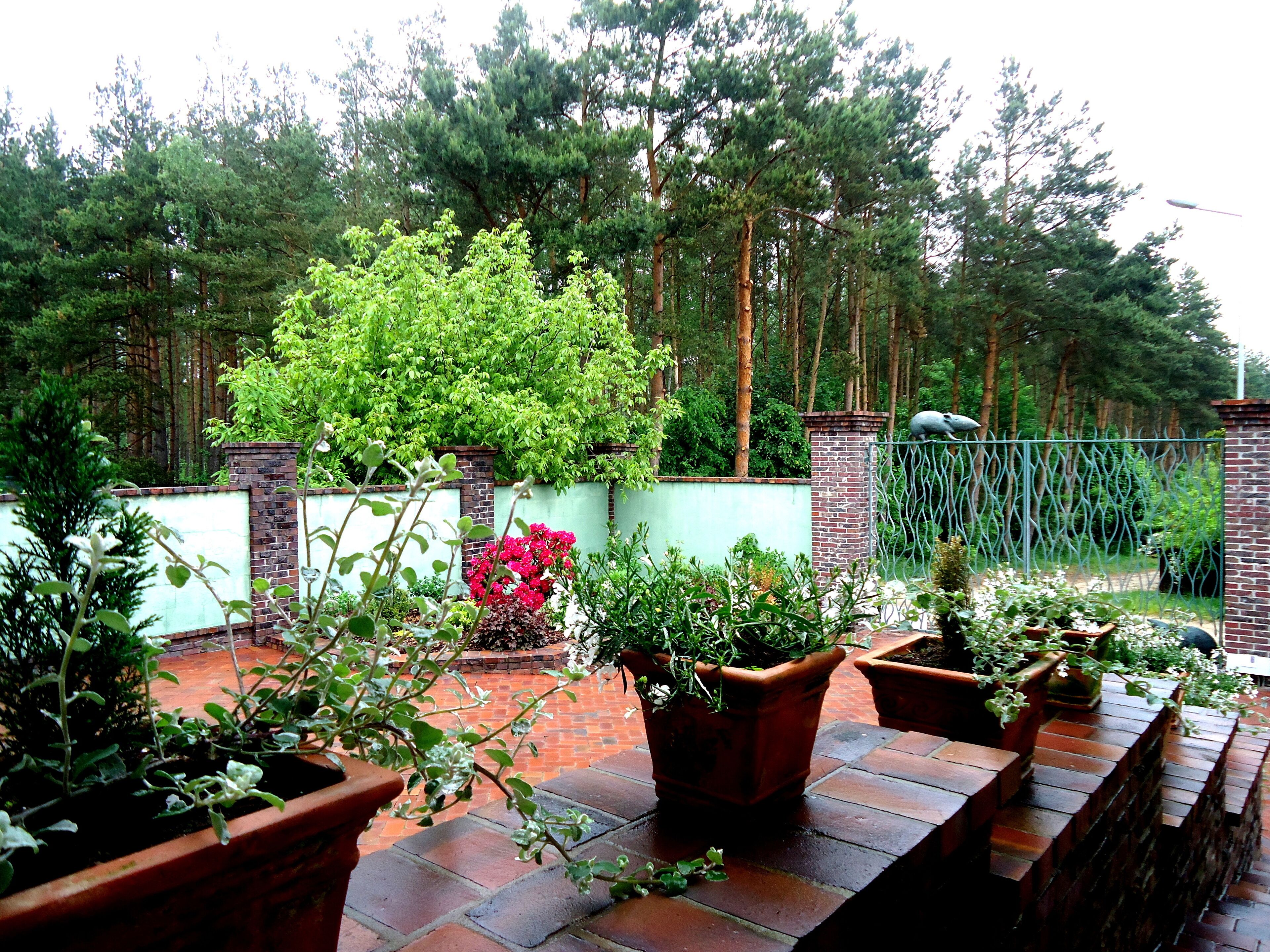 Un jardin agrémenté de plantes en pot, un mur de briques et une clôture en métal.