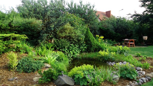 Ein Garten mit Teich, verschiedenen Pflanzen und einem kleinen Tisch mit Stühlen.