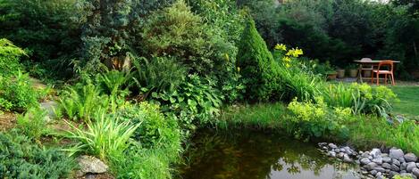 A garden with a pond, various plants, and a table with chairs.